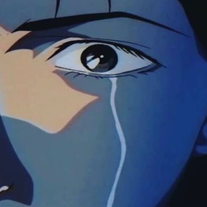 日本IPPA官网入口地址
