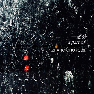 日本IPPA官网入口地址
