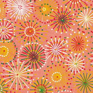 日本IPPA官网入口地址
