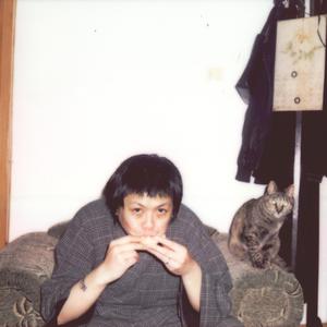 日本IPPA官网入口地址
