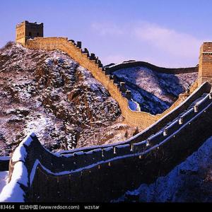 日本IPPA官网入口地址
