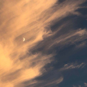 日本IPPA官网入口地址
