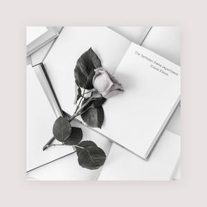 日本IPPA官网入口地址
