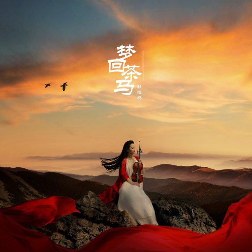 日本IPPA官网入口地址
